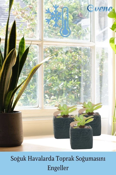 Evene Saksı Dekoratif Saksı Kaktüs Saksısı Sukulent Saksısı Küçük Saksı Model 45 Siyah Saksı - Resim 5