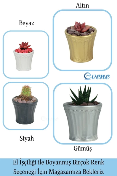 Evene Saksı Dekoratif Saksı Kaktüs Saksısı Sukulent Saksısı Küçük Saksı Model 40 Gümüş Saksı - Resim 7