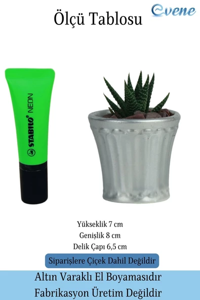 Evene Saksı Dekoratif Saksı Kaktüs Saksısı Sukulent Saksısı Küçük Saksı Model 40 Gümüş Saksı - Resim 2