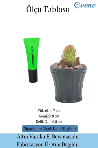 Evene Saksı Dekoratif Saksı Kaktüs Saksısı Sukulent Saksısı Küçük Saksı Model 40 Siyah Saksı - Resim 3