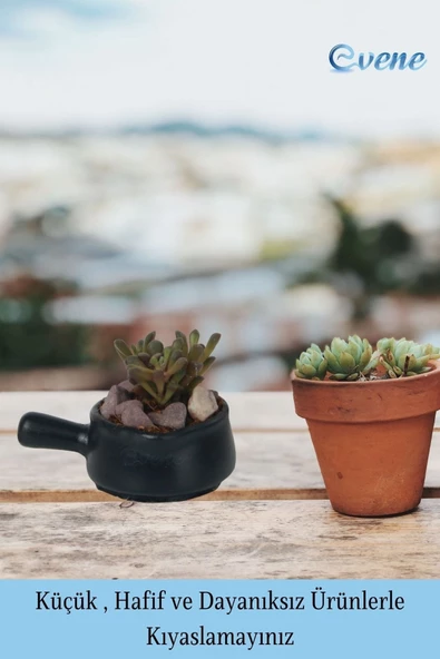 Evene Saksı Dekoratif Saksı Kaktüs Saksısı Sukulent Saksısı Küçük Saksı Model 28 Siyah 3 Lü Saksı - Resim 3