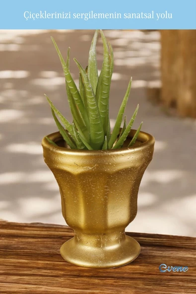 Evene Saksı Dekoratif Saksı Kaktüs Saksısı Sukulent Saksısı Küçük Saksı Model 38 Altın Saksı - Resim 3