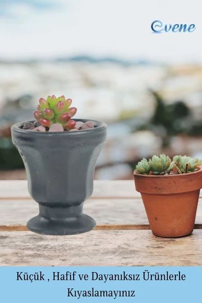 Evene Saksı Dekoratif Saksı Kaktüs Saksısı Sukulent Saksısı Küçük Saksı Model 38 Siyah Saksı - Resim 3