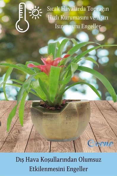 Evene Saksı Çiçek Kaktüs Saksısı Lüx 15 Cm Altın Eskitme Varak Boyalı Önü Açık Desen Saksı Çiçeklik - Resim 6