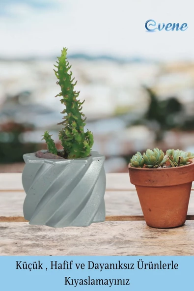 Evene Saksı Dekoratif Saksı Kaktüs Saksısı Sukulent Saksısı Küçük Saksı Model 9 Gümüş Saksı - Resim 3