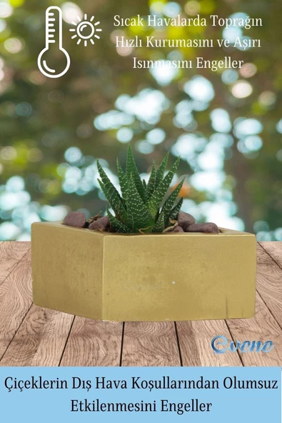 Evene Mini Çiçek Saksı Küçük Sukulent Altın Kaktüs Saksısı Dörtgen Yatay Model - Resim 4