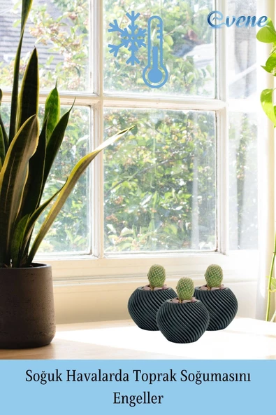 Evene Saksı Dekoratif Saksı Kaktüs Saksısı Sukulent Saksısı Küçük Saksı Model 1 Siyah Saksı - Resim 5