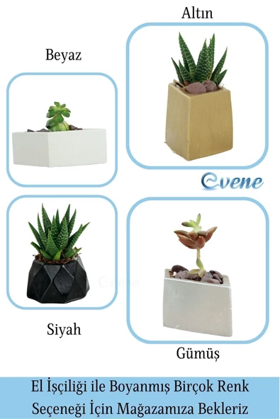 Evene Mini Çiçek Saksı Küçük Sukulent Gümüş Kaktüs Saksısı Dörtgen Yatay Model - Resim 7