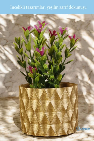 Evene Saksı Dekoratif Saksı Kaktüs Saksısı Sukulent Saksısı Küçük Saksı Model 16 Altın Saksı - Resim 5