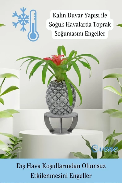 Evene Ahşap Ayaklı Beton Saksı Büyük Boy 1 Adet Gümüş Varak Boyalı Eskitmeli Ananas Model - Resim 7