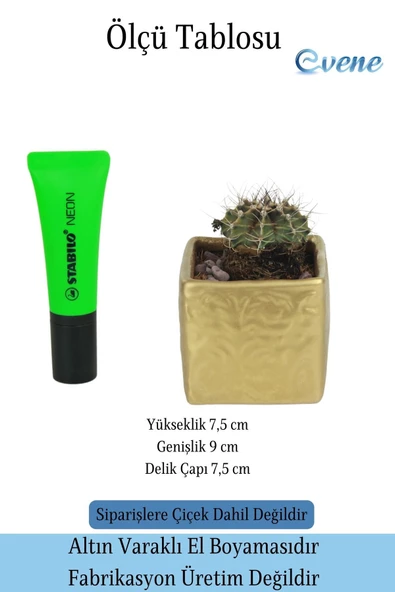 Evene Saksı Dekoratif Saksı Kaktüs Saksısı Sukulent Saksısı Küçük Saksı Model 45 Gold Saksı - Resim 3