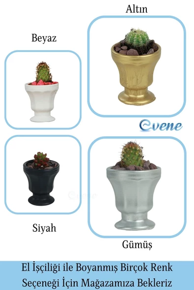 Evene Saksı Dekoratif Saksı Kaktüs Saksısı Sukulent Saksısı Küçük Saksı Model 38 Siyah Saksı - Resim 7