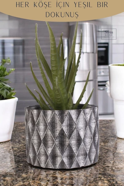 Stein Kohle Dekoratif Saksı Minik Kaktüs Saksısı Gümüş Eskitme Renk 1 Adet Baklava Model - Resim 4