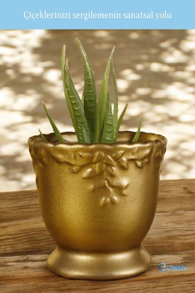 Evene Saksı Dekoratif Saksı Kaktüs Saksısı Sukulent Saksısı Küçük Saksı Model 32 Gold Saksı - Resim 3