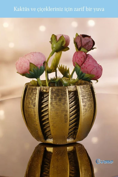 Evene Saksı Dekoratif Saksı Kaktüs Saksısı Sukulent Saksısı Küçük Saksı Model 41 Gold Saksı - Resim 4