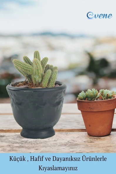 Evene Saksı Dekoratif Saksı Kaktüs Saksısı Sukulent Saksısı Küçük Saksı Model 31 Siyah Saksı - Resim 3