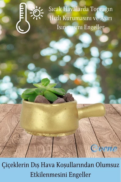 Evene Mini Çiçek Saksı Küçük Sukulent Altın Kaktüs Saksısı Tava Model - Resim 4