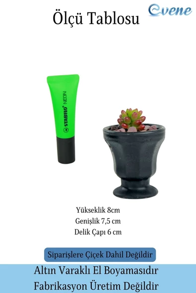 Evene Saksı Dekoratif Saksı Kaktüs Saksısı Sukulent Saksısı Küçük Saksı Model 38 Siyah Saksı - Resim 2