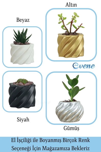 Evene Saksı Dekoratif Saksı Kaktüs Saksısı Sukulent Saksısı Küçük Saksı Model 9 Siyah Saksı - Resim 7