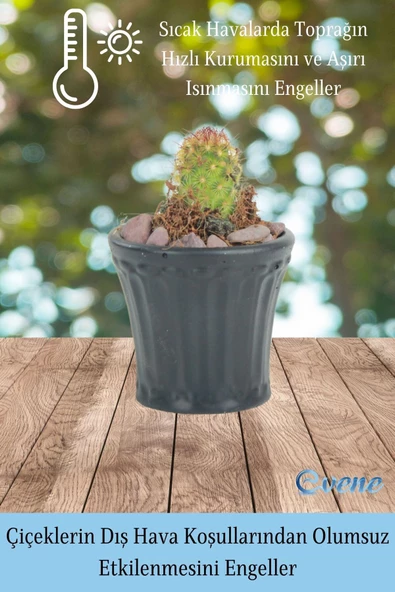 Evene Saksı Dekoratif Saksı Kaktüs Saksısı Sukulent Saksısı Küçük Saksı Model 40 Siyah Saksı - Resim 5