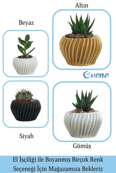 Evene Saksı Dekoratif Saksı Kaktüs Saksısı Sukulent Saksısı Küçük Saksı Model 13 Siyah Saksı - Resim 7