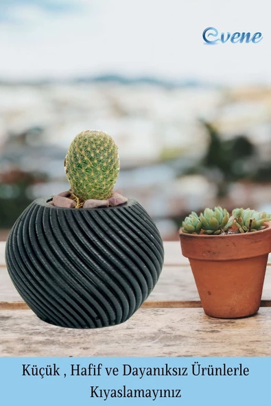 Evene Saksı Dekoratif Saksı Kaktüs Saksısı Sukulent Saksısı Küçük Saksı Model 1 Siyah Saksı - Resim 3