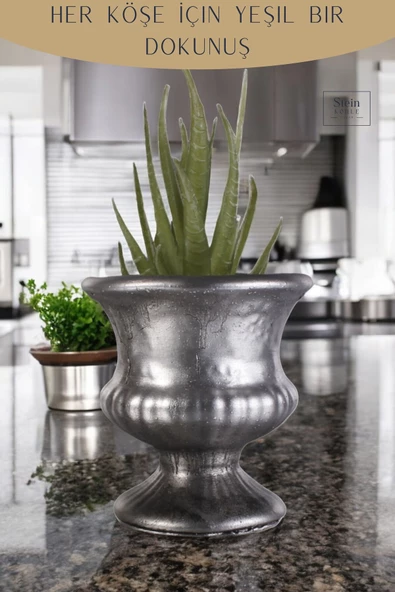 Stein Kohle Dekoratif Saksı Minik Kaktüs Saksısı Gümüş Eskitme Renk Model 33 - Resim 4