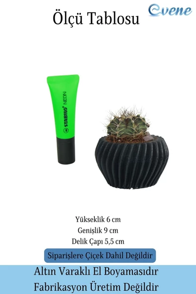Evene Saksı Dekoratif Saksı Kaktüs Saksısı Sukulent Saksısı Küçük Saksı Model 13 Siyah Saksı - Resim 2