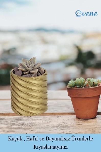 Evene Saksı Dekoratif Saksı Kaktüs Saksısı Sukulent Saksısı Küçük Saksı Model 37 Gold Saksı - Resim 3