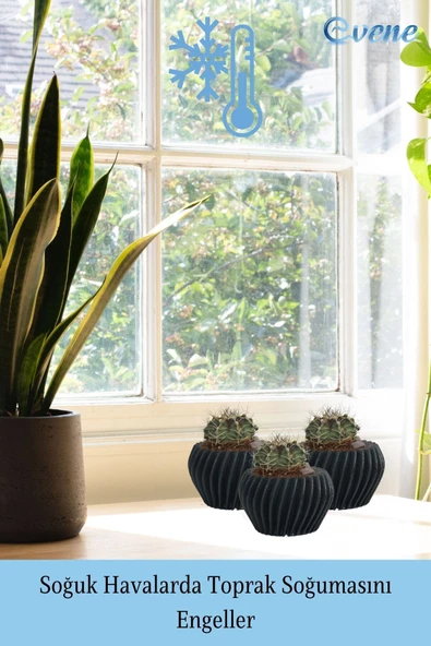 Evene Saksı Dekoratif Saksı Kaktüs Saksısı Sukulent Saksısı Küçük Saksı Model 13 Siyah Saksı - Resim 5