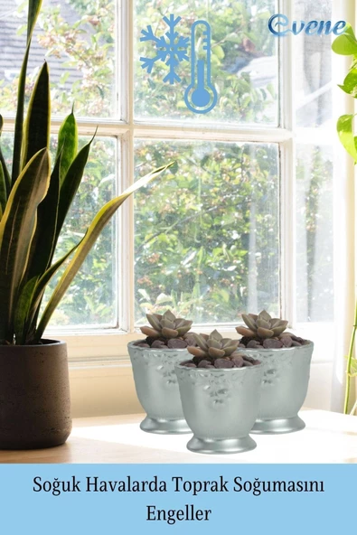 Evene Saksı Dekoratif Saksı Kaktüs Saksısı Sukulent Saksısı Küçük Saksı Model 32 Gümüş Saksı - Resim 5