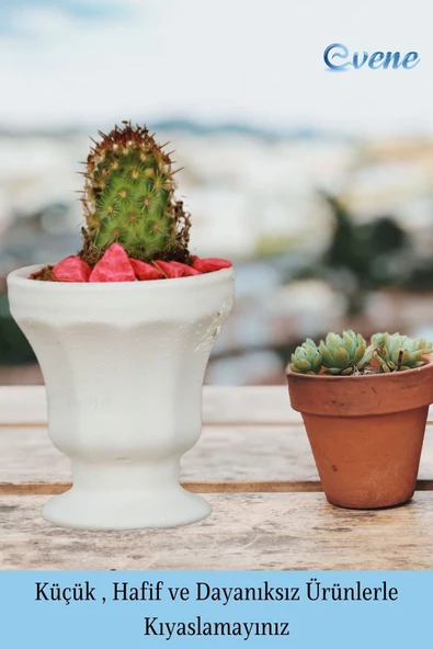 Evene Saksı Dekoratif Saksı Kaktüs Saksısı Sukulent Saksısı Küçük Saksı Model 38 Beyaz Saksı - Resim 2