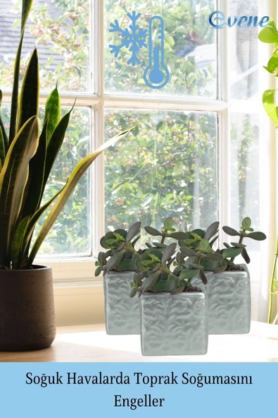 Evene Saksı Dekoratif Saksı Kaktüs Saksısı Sukulent Saksısı Küçük Saksı Model 45 Gümüş Saksı - Resim 5