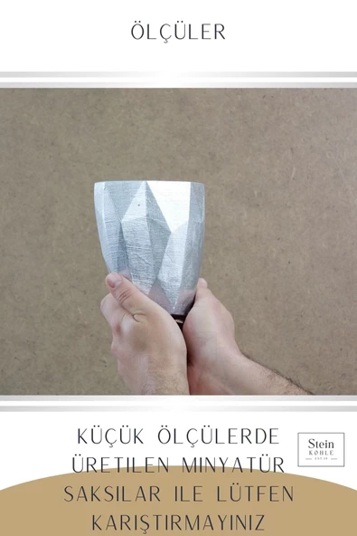 Stein Kohle Çiçek Saksısı Dekoratif Kaktüs Saksı 1 Adet Gümüş Renk Uygulamalı Uzun Poly Model - 3