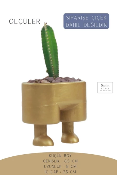 Stein Kohle Çiçek Saksısı Dekoratif Kaktüs Saksı 1 Adet Altın Renk Uygulamalı Pantolon Model - 2