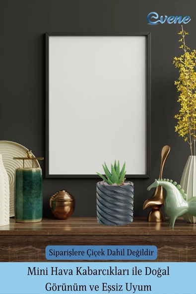 Evene Saksı Dekoratif Saksı Kaktüs Saksısı Sukulent Saksısı Küçük Saksı Model 37 Siyah Saksı - Resim 6