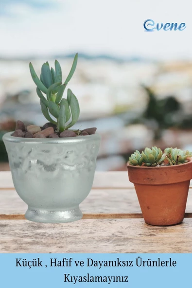 Evene Saksı Dekoratif Saksı Kaktüs Saksısı Sukulent Saksısı Küçük Saksı Model 31 Gümüş Saksı - 3