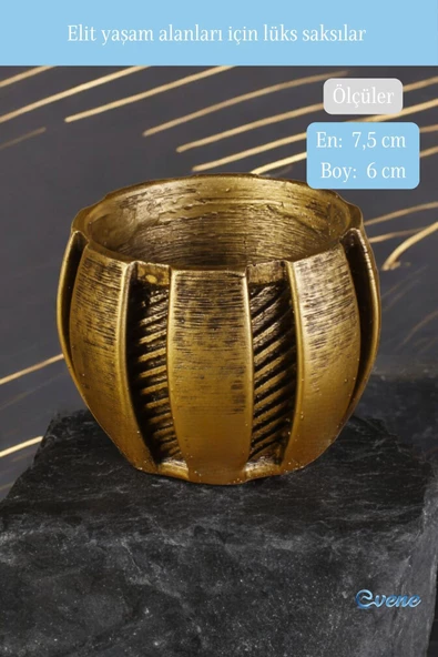 Evene Saksı Dekoratif Saksı Kaktüs Saksısı Sukulent Saksısı Küçük Saksı Model 41 Gold Saksı - Resim 2