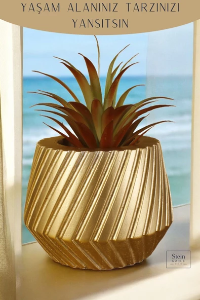 Stein Kohle Çiçek Saksısı Dekoratif Kaktüs Saksı 1 Adet Altın Renk Uygulamalı Dişli Model - Resim 5