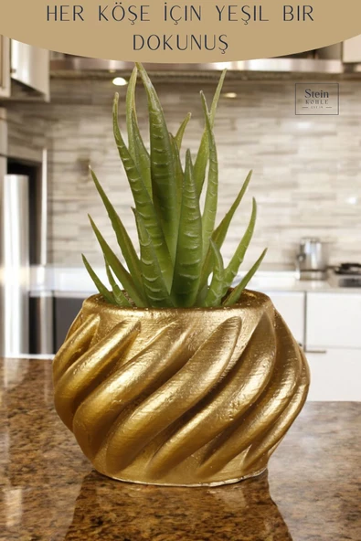 Stein Kohle Dekoratif Saksı Minik Kaktüs Saksısı Altın Renk 1 Adet Kalın Çizgili Spiral Model - Resim 4