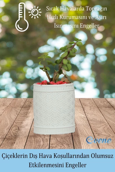 Evene Saksı Dekoratif Saksı Kaktüs Saksısı Sukulent Saksısı Küçük Saksı Model 42 Beyaz Saksı - Resim 4