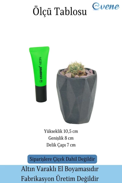 Evene Saksı Kaktüs Saksısı Dekoratif Saksı Model 12 - 2