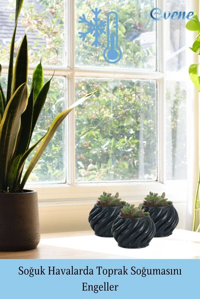 Evene Saksı Dekoratif Saksı Kaktüs Saksısı Sukulent Saksısı Küçük Saksı Model 4 Siyah Saksı - Resim 5