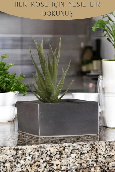 Stein Kohle Dekoratif Saksı Minik Kaktüs Saksısı Gümüş Eskitme Renk 1 Adet Dörtgen Model - Resim 4