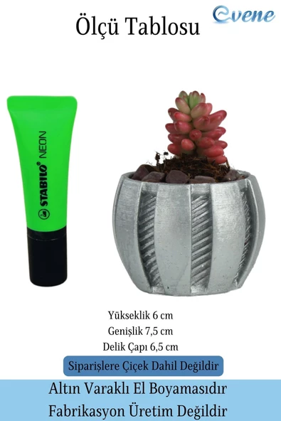 Evene Saksı Dekoratif Saksı Kaktüs Saksısı Sukulent Saksısı Küçük Saksı Model 41 Gümüş Saksı - Resim 2