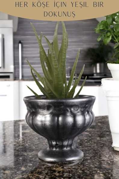 Stein Kohle Dekoratif Saksı Minik Kaktüs Saksısı Gümüş Eskitme Renk Model 34 - Resim 4