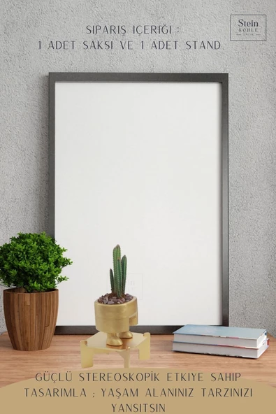 Stein Kohle Ayaklı Saksı Ahşap Dekoratif Kaktüs Saksısı 1 Adet Altın Renk Uygulamalı Pantolon Model - 4