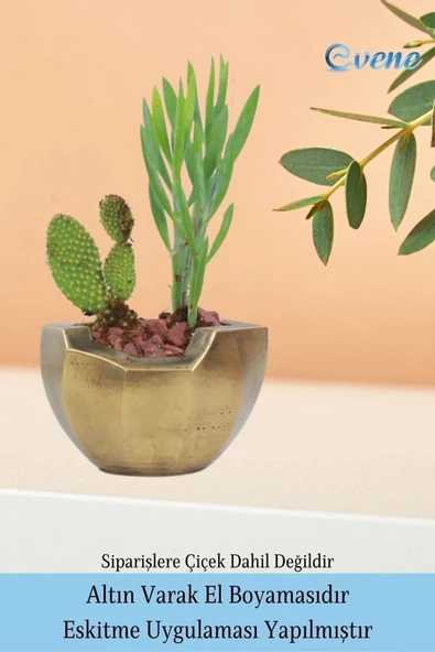 Evene Saksı Çiçek Kaktüs Saksısı Lüx 15 Cm Altın Eskitme Varak Boyalı Önü Açık Desen Saksı Çiçeklik - Resim 5