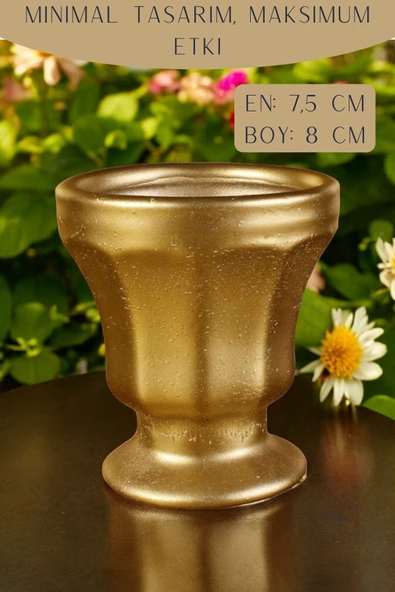 Stein Kohle Dekoratif Saksı Minik Kaktüs Saksısı Altın Renk Model 38 - Resim 2