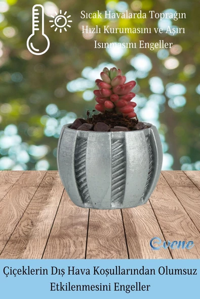 Evene Saksı Dekoratif Saksı Kaktüs Saksısı Sukulent Saksısı Küçük Saksı Model 41 Gümüş Saksı - Resim 4